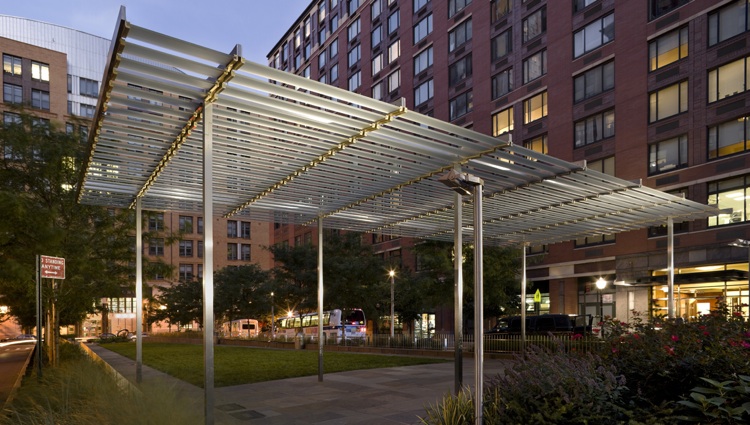 Canopy at Night